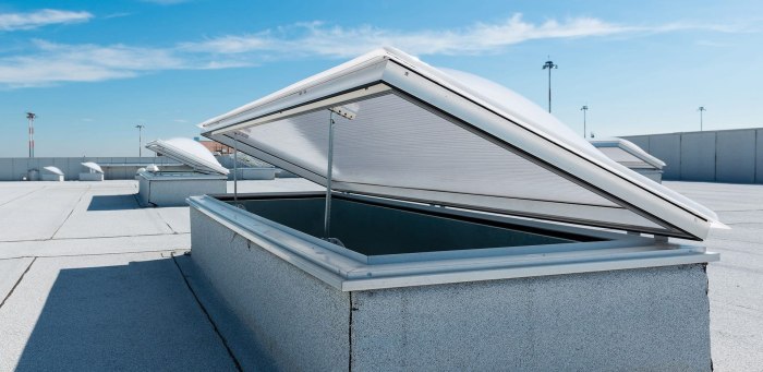 Skylight Roof