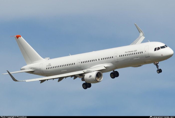 Airbus a321‑100