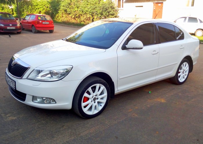 Skoda Octavia a5 на 17 дисках