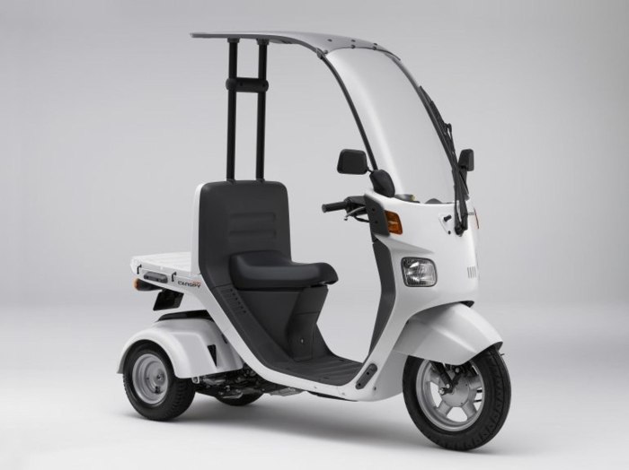 Honda Gyro Canopy 2017