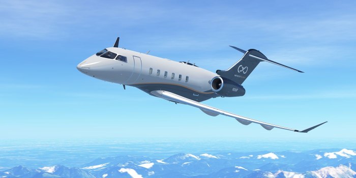 Infinite Flight