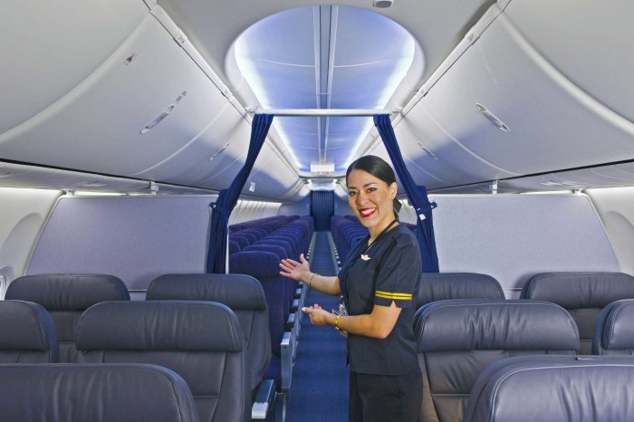 Боинг 737 салон
