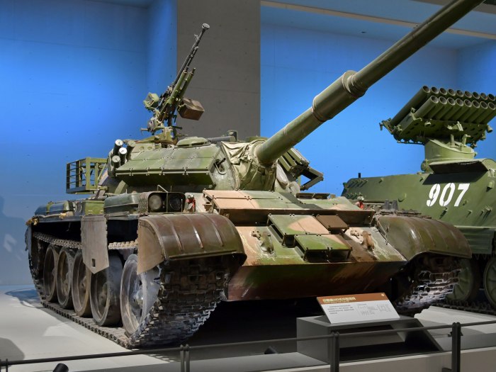 Type 59 g