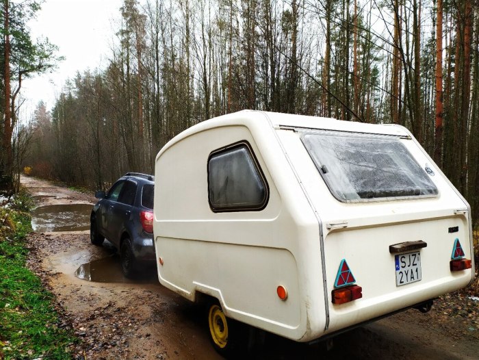 Niewiadow n126