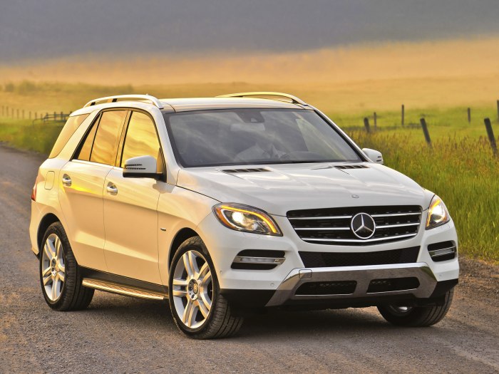 Mercedes Benz ml 350