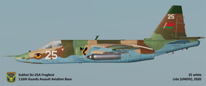 Самолёт Су-25т