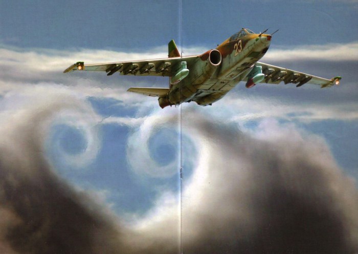 Грачи самолеты Су-25 боевые