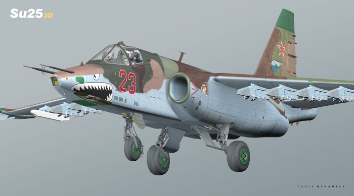 Су-25 Штурмовик