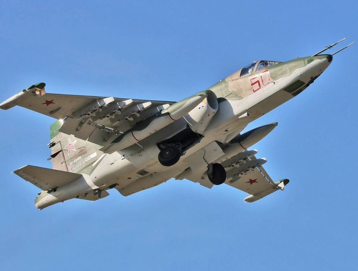 Су 25 см 3 Грач