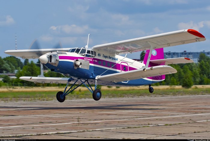 АН 2 пассажирский
