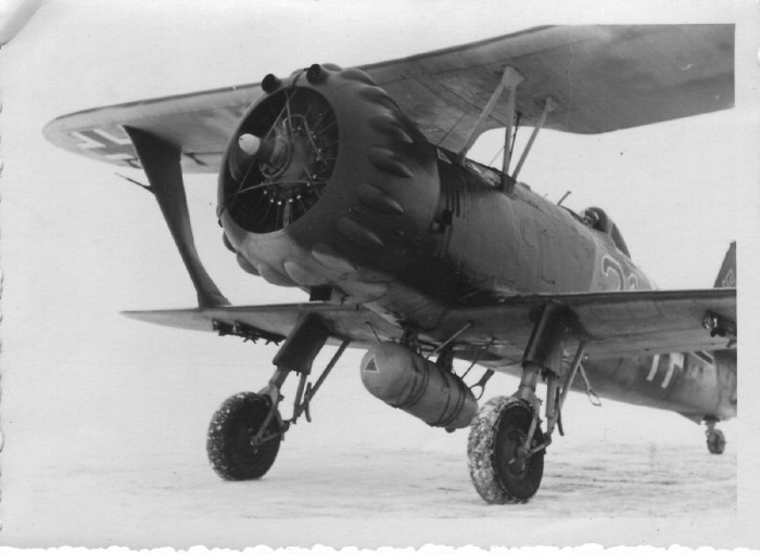 Самолет Henschel hs123
