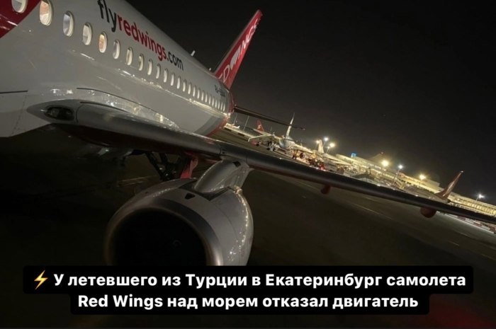 Планы ребрендинга авиакомпании ред Вингс