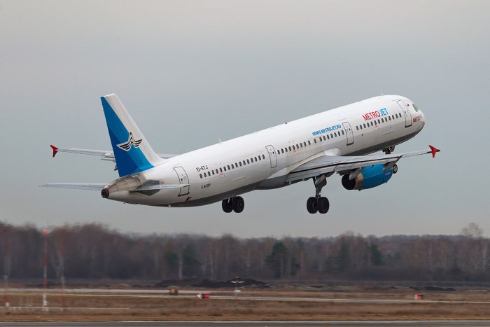 Airbus a321 Metrojet