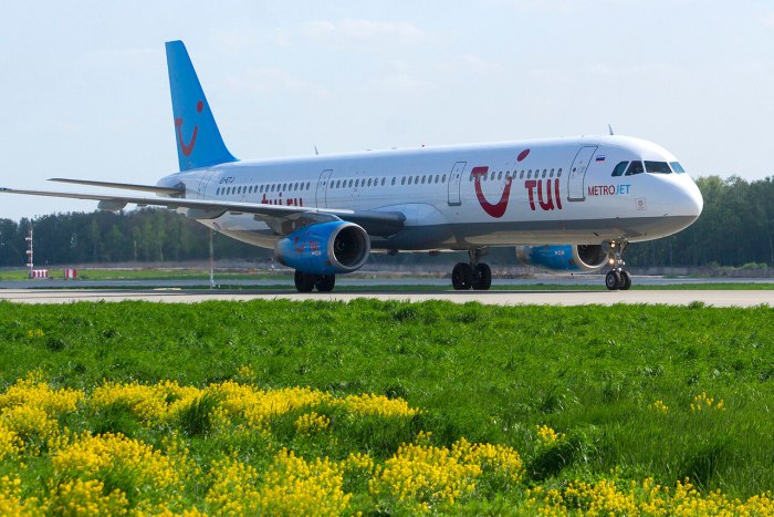 Самолет а321 метроджет