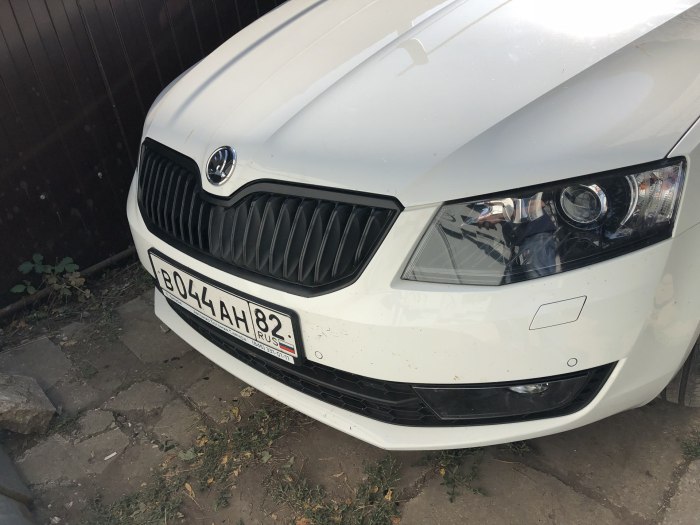 Skoda Octavia a7 антихром