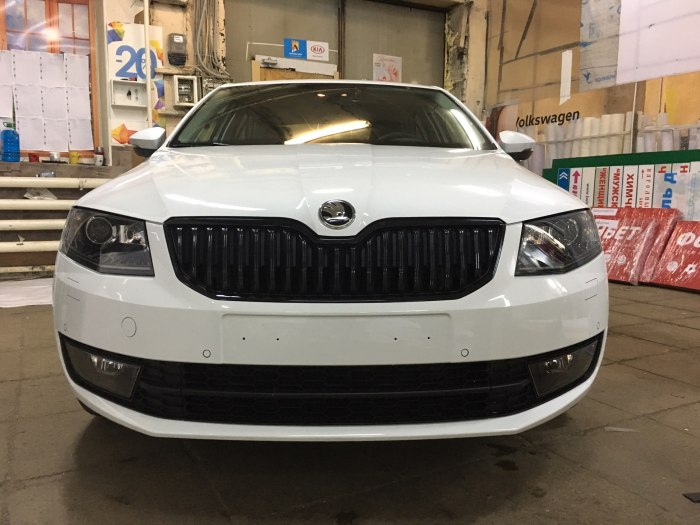 Skoda Octavia a7 антихром