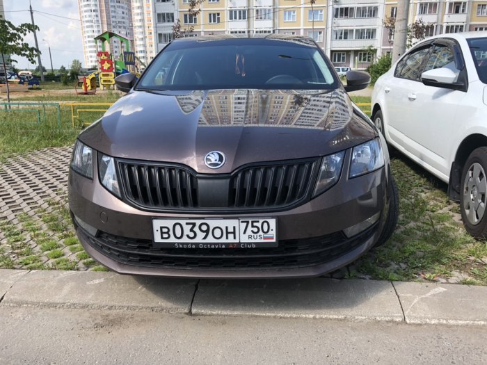 Skoda Octavia a7 антихром