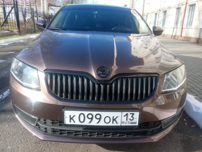 Octavia a7 антихром