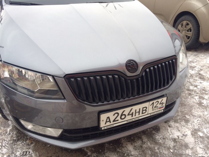 Skoda Octavia антихром