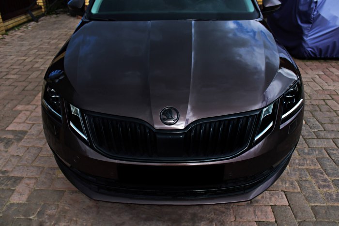Skoda Octavia a7 FL антихром