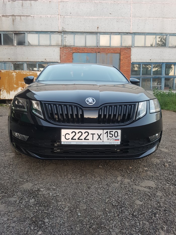 Skoda Octavia a7 антихром