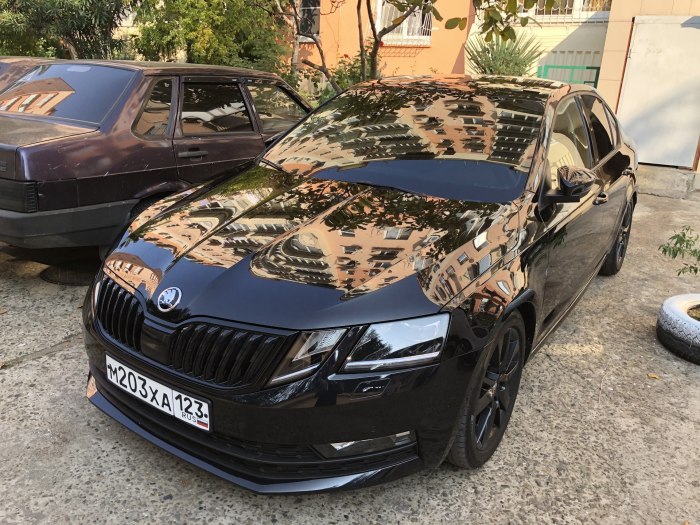 Шкода Октавия а7 антихром