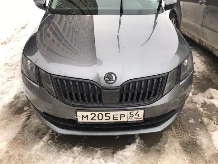 Octavia a7 FL антихром