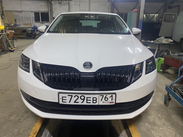 Skoda Octavia антихром