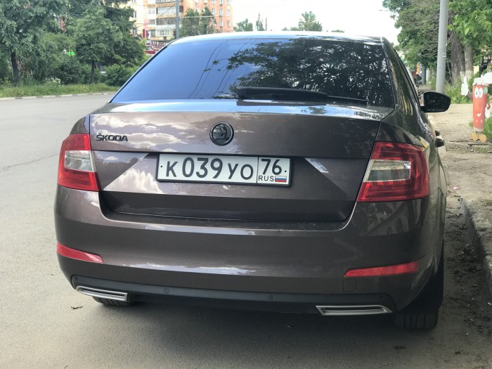 Шкода Октавия а7 антихром