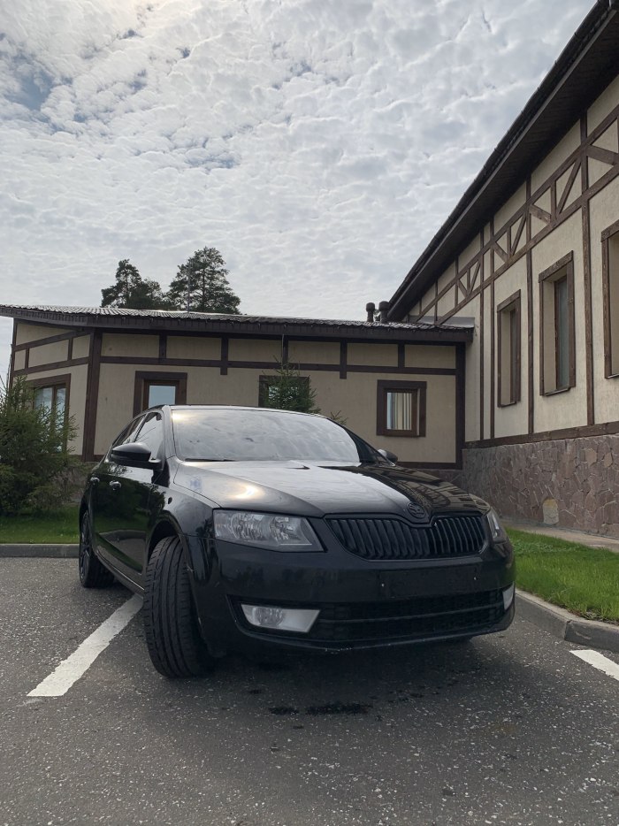 Skoda Octavia антихром