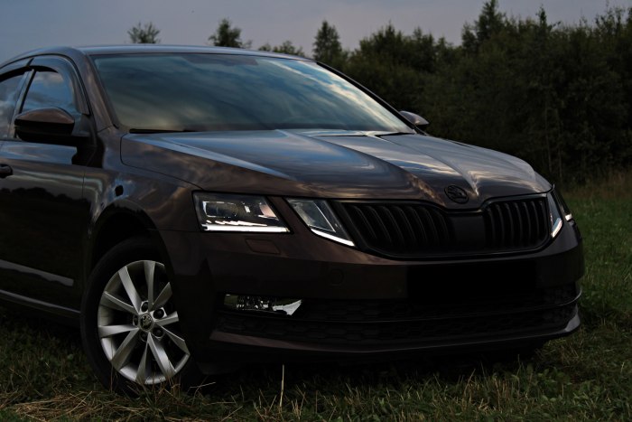 Skoda Octavia антихром