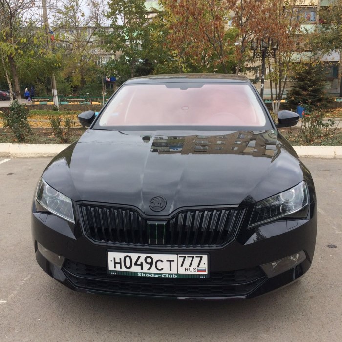 Шкода Октавия а7 антихром
