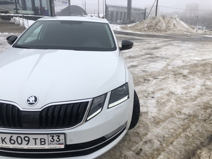 Октавия а5 белая антихром