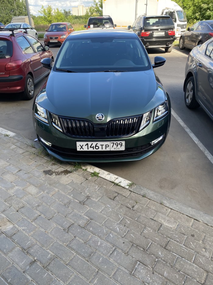 Skoda Octavia a7 антихром