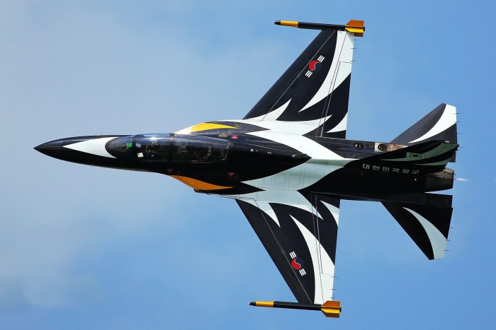 Kai t-50 Black Eagle