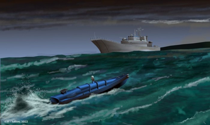 Морской дрон Микола 3