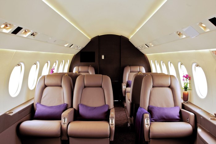 Falcon 2000 Interior