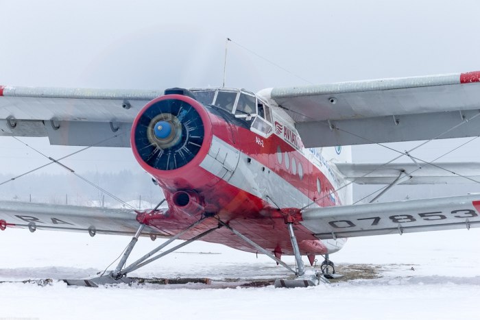 АН 2 Арктический
