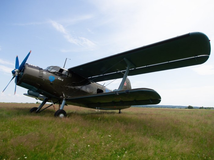 Самолёт моноплан АН-2