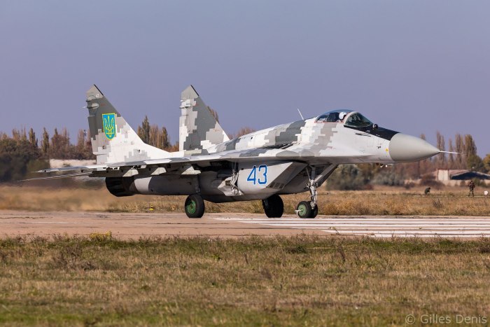 Украинский миг 29