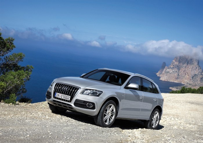 Audi q5 2010
