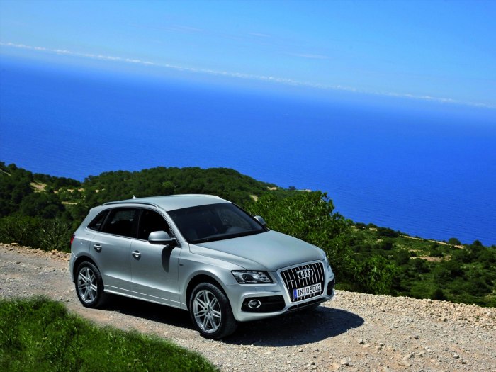 Audi q5 2009