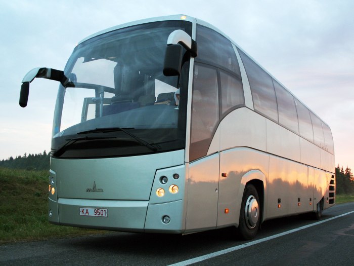 МАЗ 251062