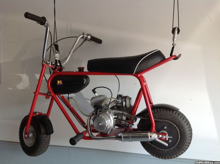 Lifan Mini Bike