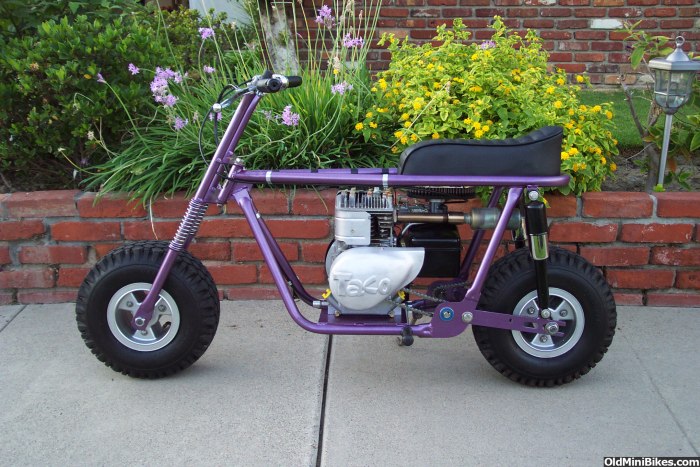 Lifan Mini Bike