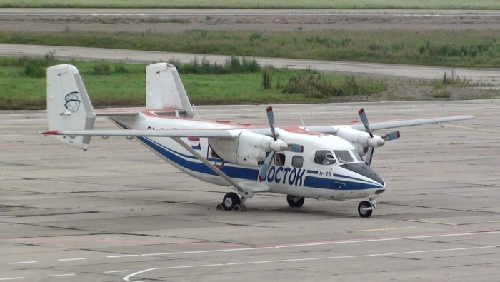 Самолет Пчелка АН 28