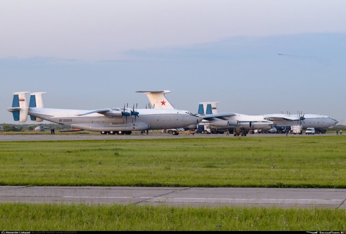 АН 22 В Толмачево