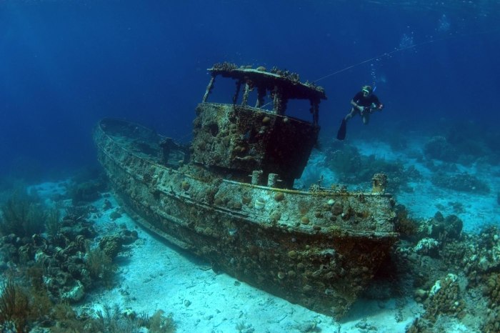 Саргассово море Бермудский треугольник