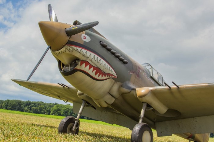Curtiss p-40 Warhawk
