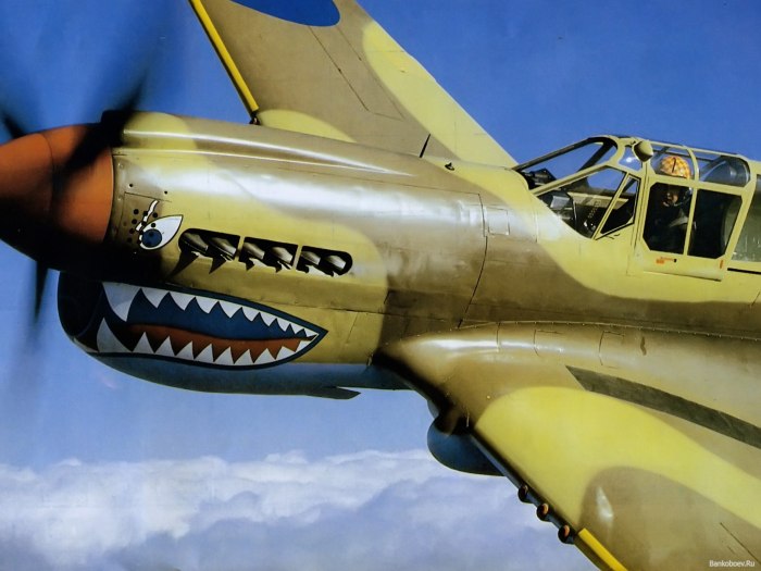 Curtiss p-40